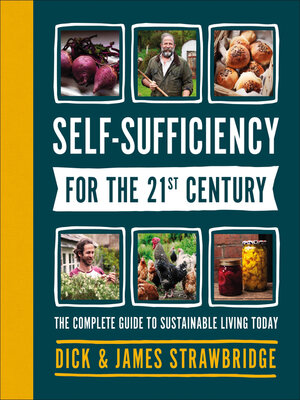 Self-Sufficiency for the 21st Century - ebook